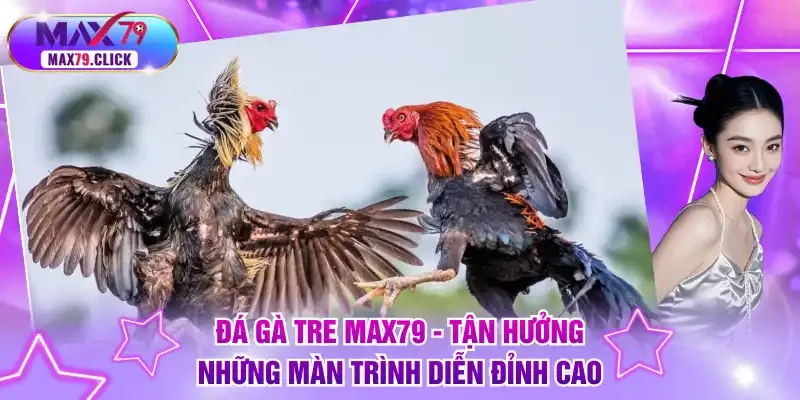 Đá gà tre